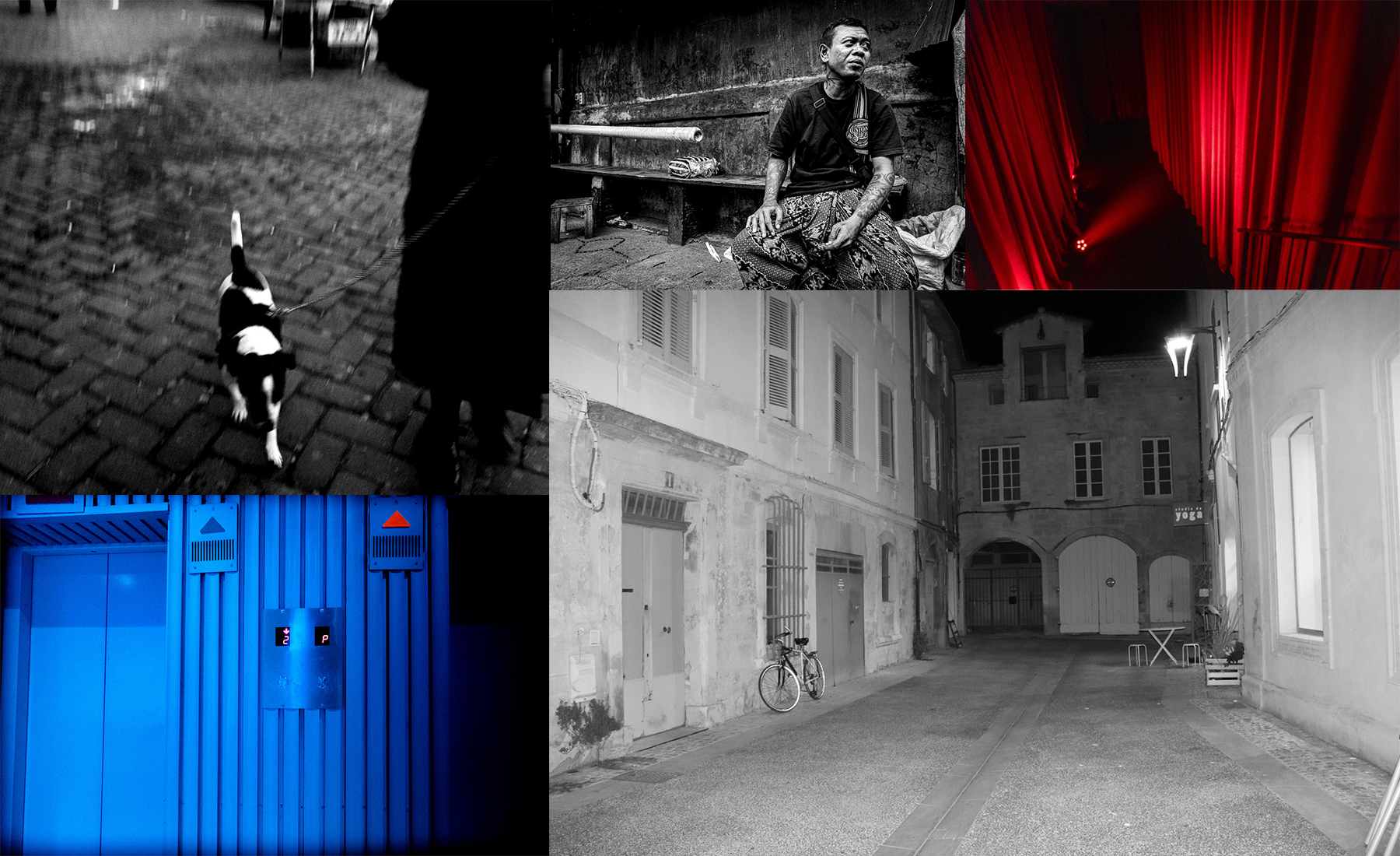 Portfolio showcase 4